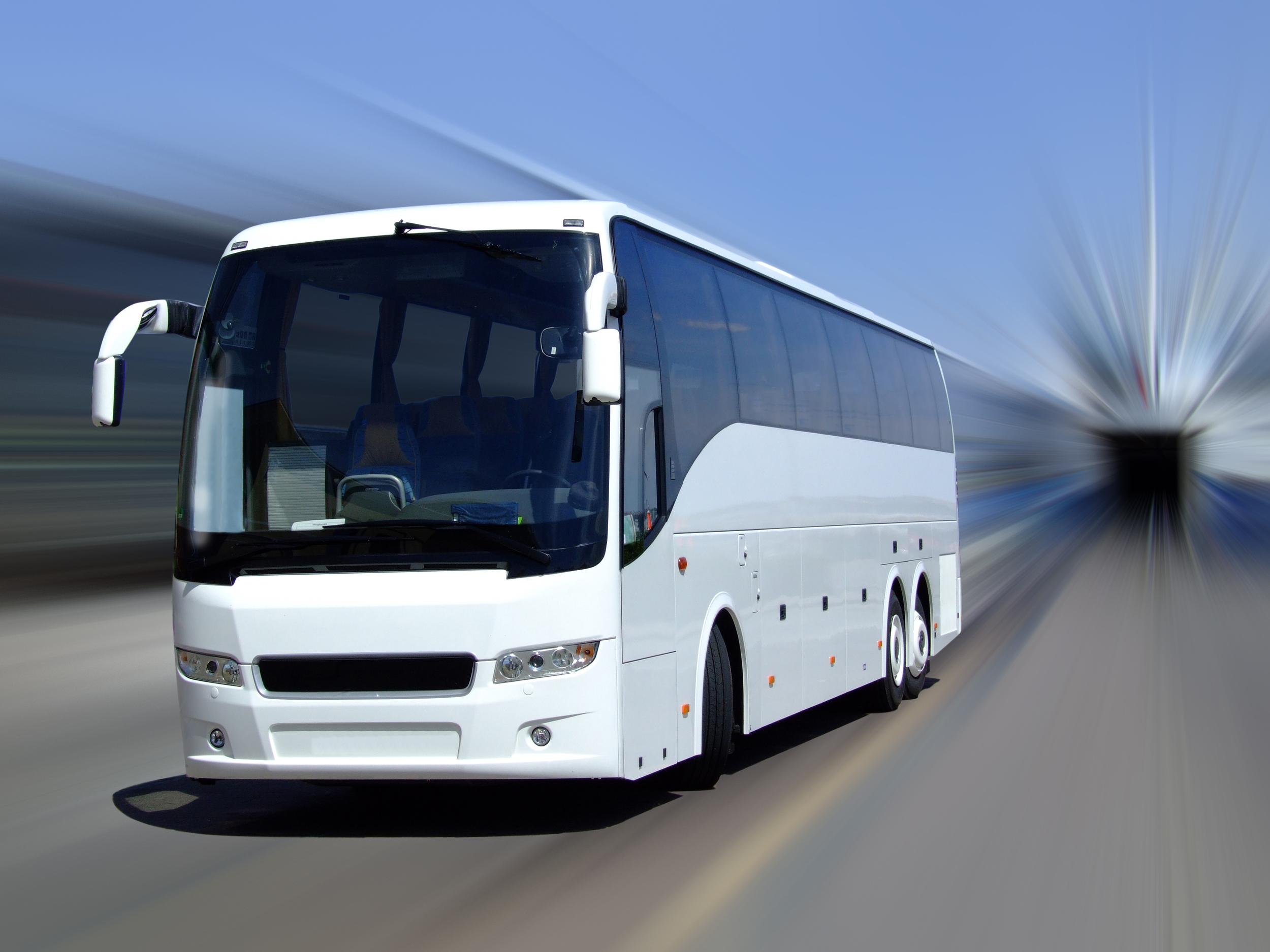 bus